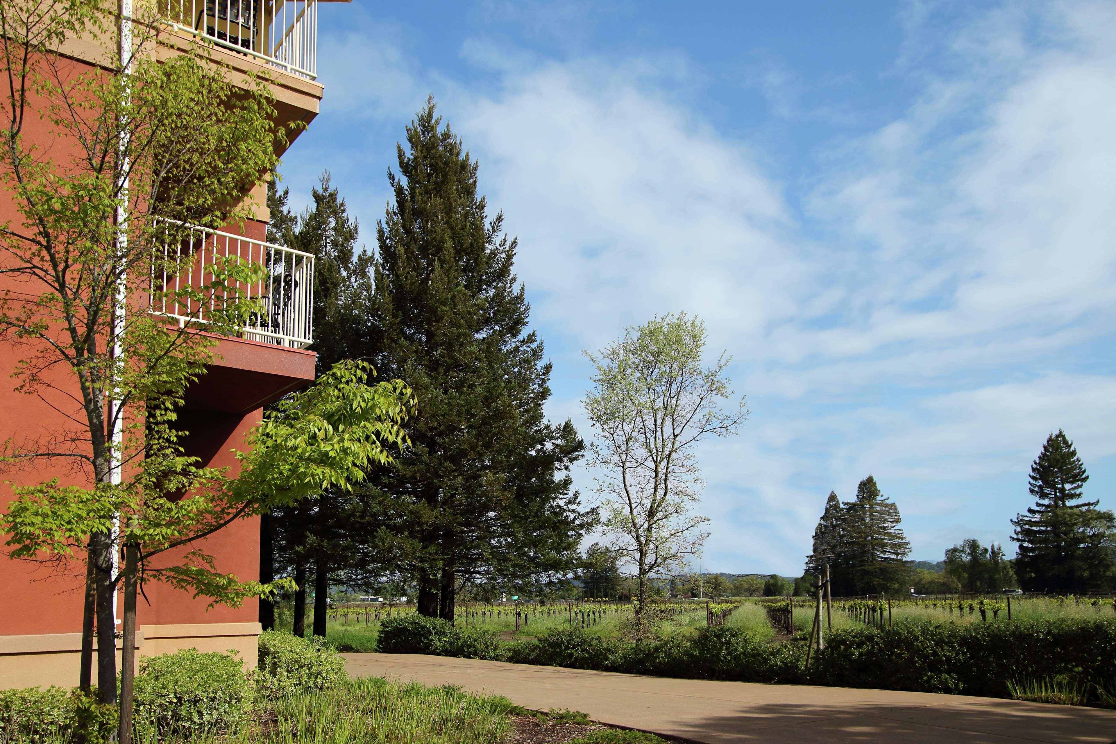Hilton Garden Inn Sonoma County Airport Santa Rosa Bagian luar foto