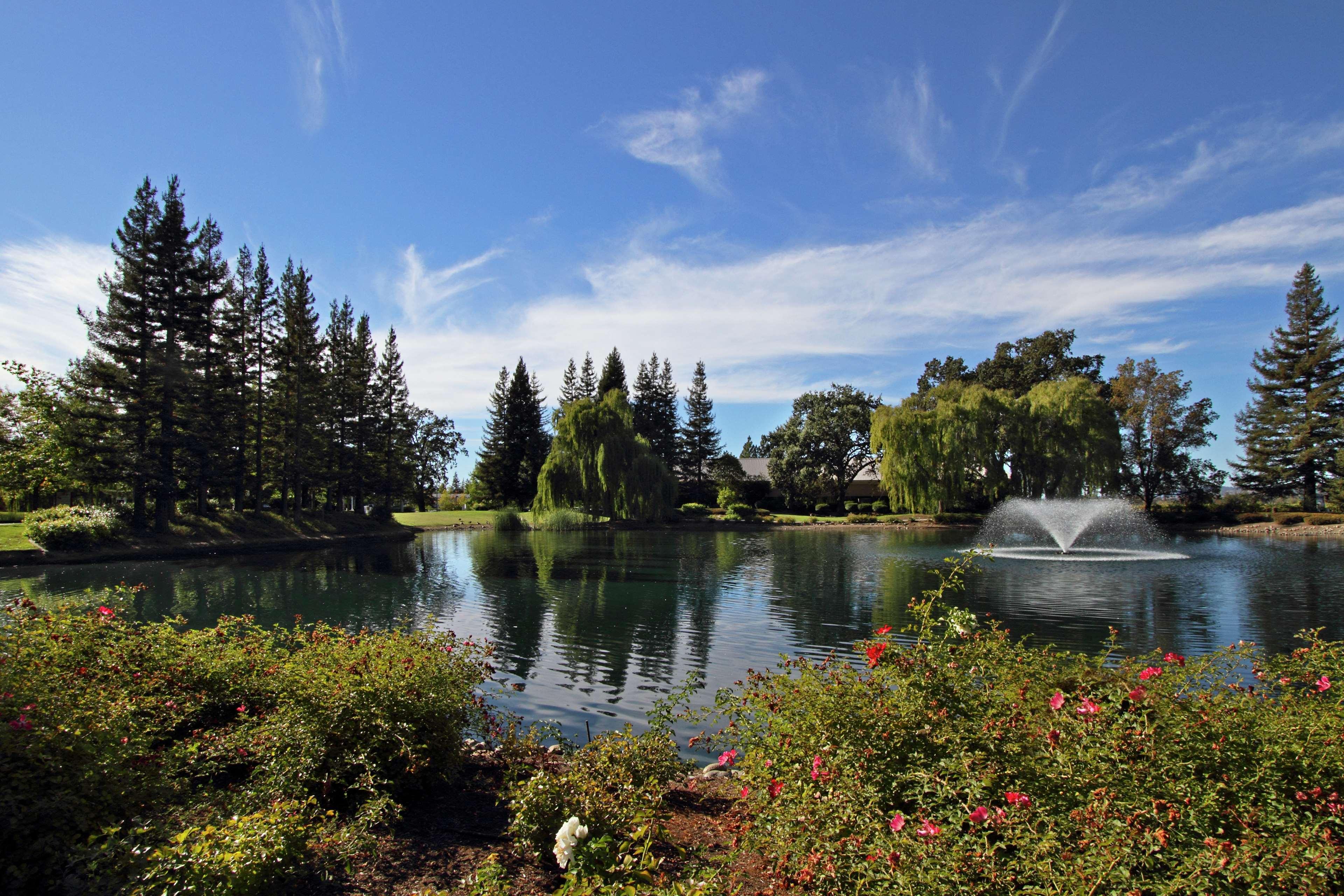 Hilton Garden Inn Sonoma County Airport Santa Rosa Bagian luar foto